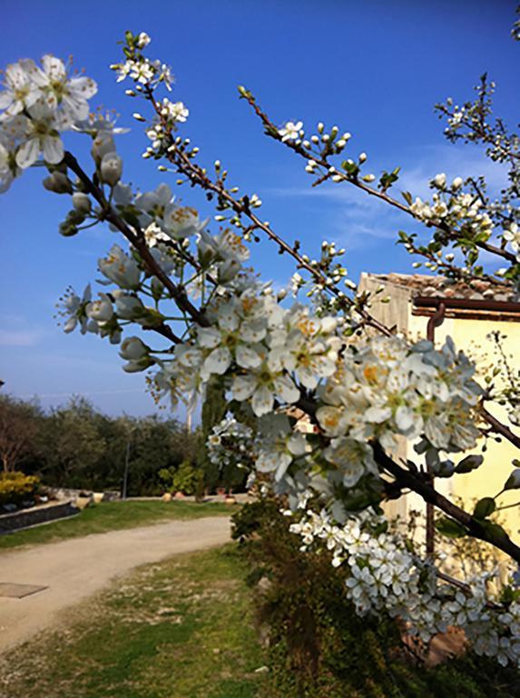 Agriturismo Frangivento Casa Giosafat Eksteriør billede